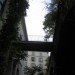 La jungle urbaine