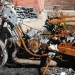 dscn7598.3
