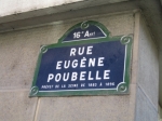 medium_img_0062.jpg