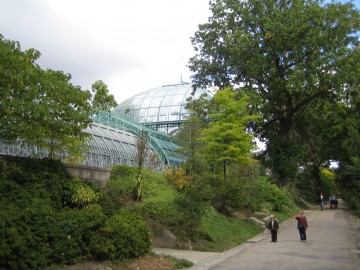 medium_img_0653.jpg