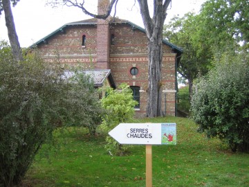 medium_img_0654.jpg