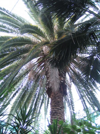 medium_img_0667.jpg