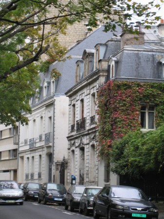 medium_img_0784.jpg
