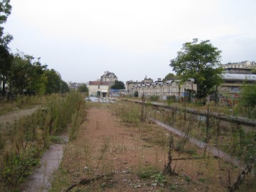 medium_img_0795.jpg