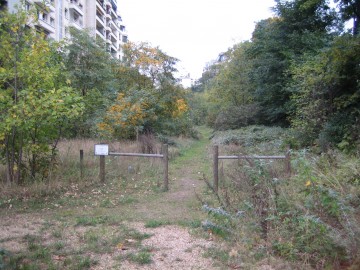 medium_img_0797.2.jpg