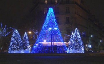 medium_img_17435.jpg
