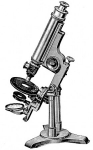 medium_microscope.jpg