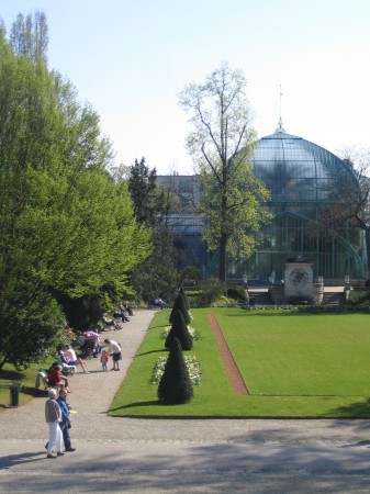 medium_serresd_auteuil804.jpg