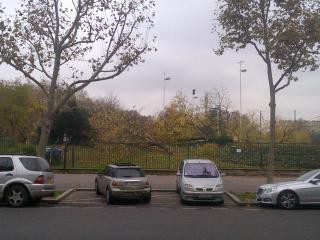 IMG-1127-00354.jpg