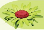 fleur.JPG